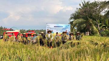 BULOG Genjot Serapan Gabah NTB Target 4 Juta Ton