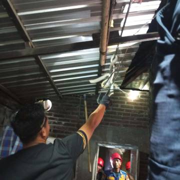 Damkarmat Lotim Evakuasi Dua Ekor Ular dari Rumah Warga 