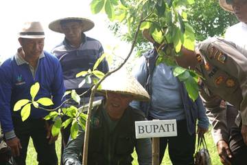Bupati Sumbawa Serukan Hentikan Ilegal Logging