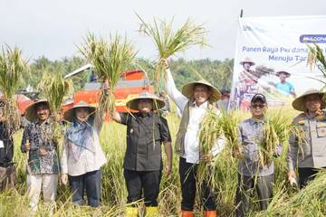 Lombok Utara Dukung Swasembada Pangan Nasional Lewat Panen Raya