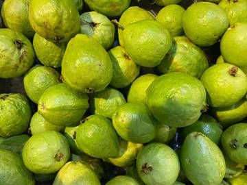 Jambu Kristal, Asal Usul Fakta Menarik Untuk Diketahui