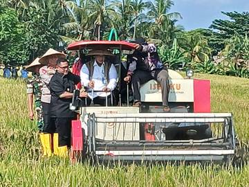 NTB Dinilai Strategis Dukung Target Swasembada Pangan Nasional