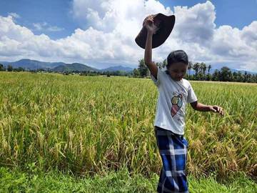 Dompu Pastikan Lahan Irigasi Teknis Tetap Fokus Padi