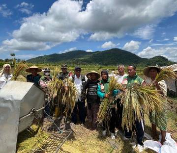 BULOG NTB Terjun Serap Gabah Petani Demi Capai Target 2026