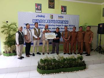 Asuransi Pertanian, Bulog Lindungi Petani dari Resiko Gagal Panen 