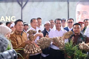 Mentan Tetapkan NTB jadi Sentra Bawang Putih Nasional