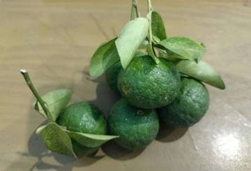 Jeruk Limau, Buah Citrus Kaya Manfaat Kesehatan