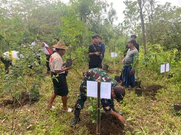 Gencarkan Pelestarian Alam Melalui Penanman Pohon