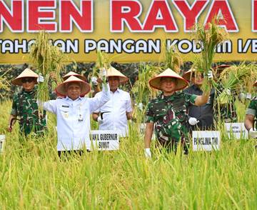 ​Panglima TNI Panen Raya Padi, Disalurkan ke SPPG