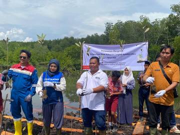 Kembangkan Ekowisata, Pertamina EP Pangkalan Susu Edukasi Mangrove 