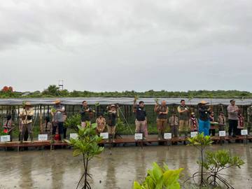 Kemenhut Sumut Lakukan Penanaman Mangrove di Karang Gading
