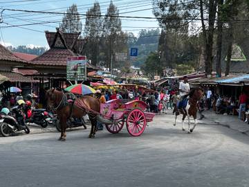 Menikmati Kota Berastagi dengan Delman 