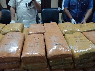BNNP Sumut Sita Ratusan Kilogram Ganja, 10 Tersangka