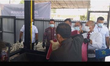 BBKHIT Sumut Musnahkan Kambing dan Ayam Ilegal 