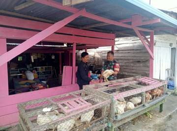 Babinsa Koramil 07/Salak Komsos dengan Pedagang Ayam