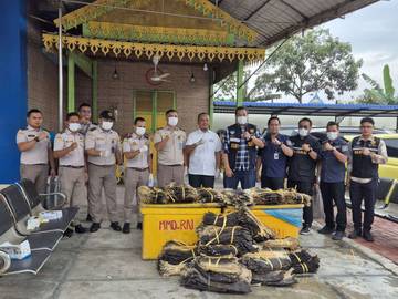 KPPBC Teluk Gagalkan Penyelundupan 1984 Kulit Biawak