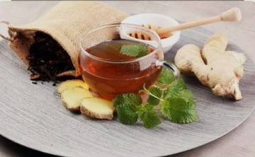 Tanaman Herbal Nusantara Penunjang Imunitas dan Kesehatan
