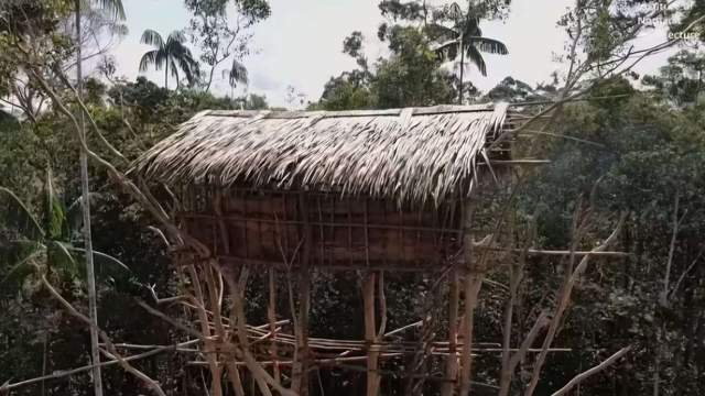 Ketika Hutan Membawah Berkah