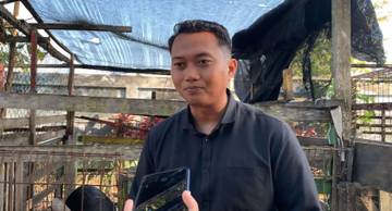 Dari Rembet Hutan, Kopi dan Kasuari Bersatu