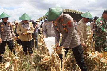 Tumbuh di Ufuk Timur, Mengukir Swasembada