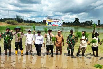 Lumbung Pangan Menyemai di Ufuk Timur