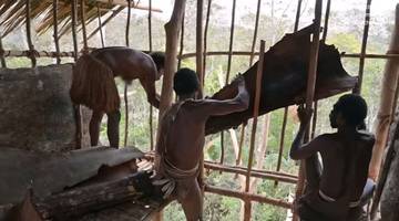 Ketika Negara Hadir di Hutan