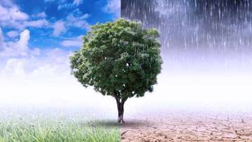 Waspada Musim Pancaroba! Kenali Beberapa Penyakit dan Pecegahannya