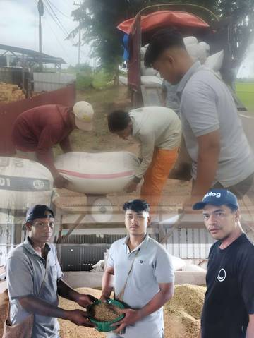 BULOG Merauke Dorong Swasembada Pangan Lewat Penyerapan Gabah 