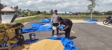 Polri Dampingi Petani Capai Kualitas Jagung Optimal