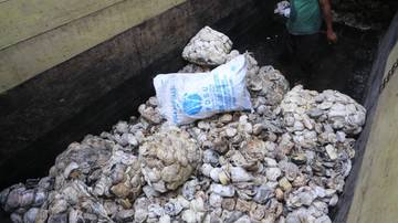 Harga Getah Karet Turun Tiga Ribu Rupiah