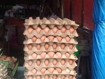 Harga Telur Ayam Ras di Meulaboh Masih Mahal