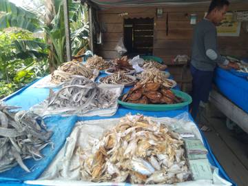 Produk Ikan Asin Langkak Tembus Pasar Jawa Sumatra