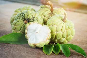  Manfaat Buah Srikaya untuk Kesehatan 