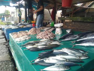 Harga ikan Melambung Tinggi di Meulaboh
