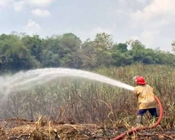 Kebakaran Lahan Tebu di Sragen Berhasil Dipadamkan