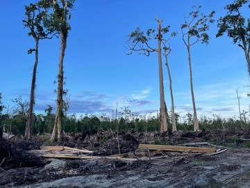 Apel Green Aceh Temukan Perambahan Gambut Rawa Tripa