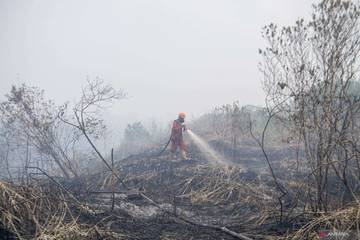 Tips Menghindari Bahaya Kabut Asap.