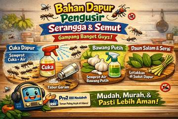 Bahan Dapur Bisa Usir Serangga Semut, Gampang Guys!