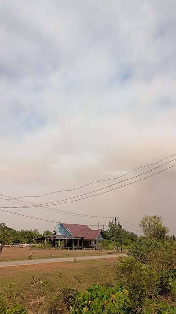 Bupati Tinjau Karhutla yang Semakin Meluas