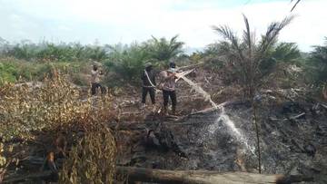 Tim Gabungan Lanjutkan Pendinginan Lahan Sawit Terbakar Kaway