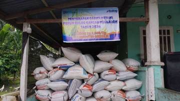 Bulog Meulaboh Mulai Serap Gabah Petani