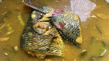 Ikan Nila Tumis Asam Pedas Kemcombrang Khas Aceh