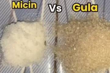 Mana Lebih Baik, Gula Atau Micin ??   