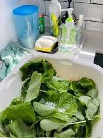 Mengapa Harus Merendam Sayur Dengan Air Garam?