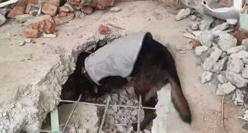 Tim K9 Polri Temukan Korban Gempa di Myanmar