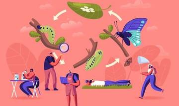 Entomologi: Hobi Unik, Bentuk Cinta Terhadap Alam