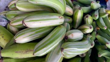 Variegata, Pisang Termahal di Dunia, Jadi Incaran Kolektor