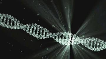 Bagaimana DNA Bekerja?