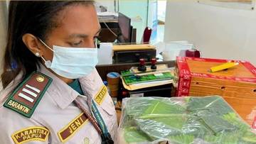 Karantina Pateng Periksa 41 Batang Steak Jambu Bol