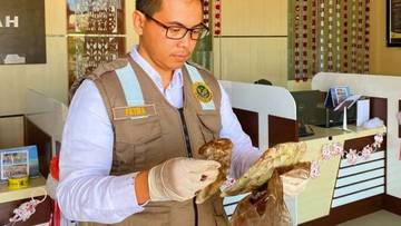Karantina Periksa 60-Kg Gelembung Ikan Tujuan Surabaya